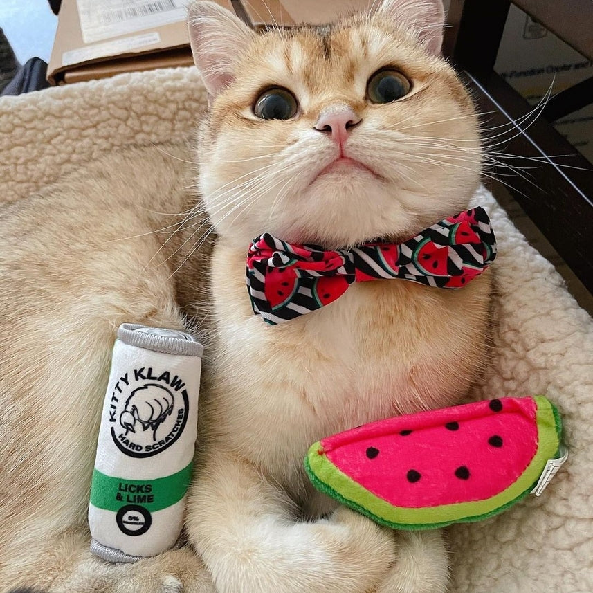 Kittybelles Watermelon