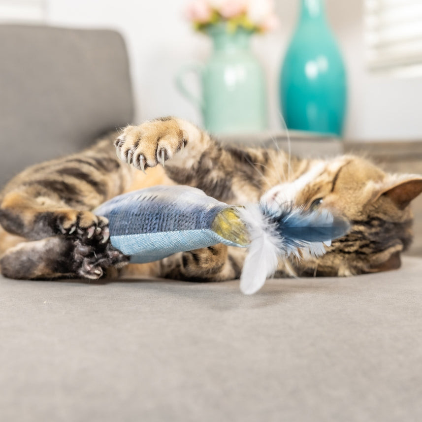 Kittybelles Sardine Kicker