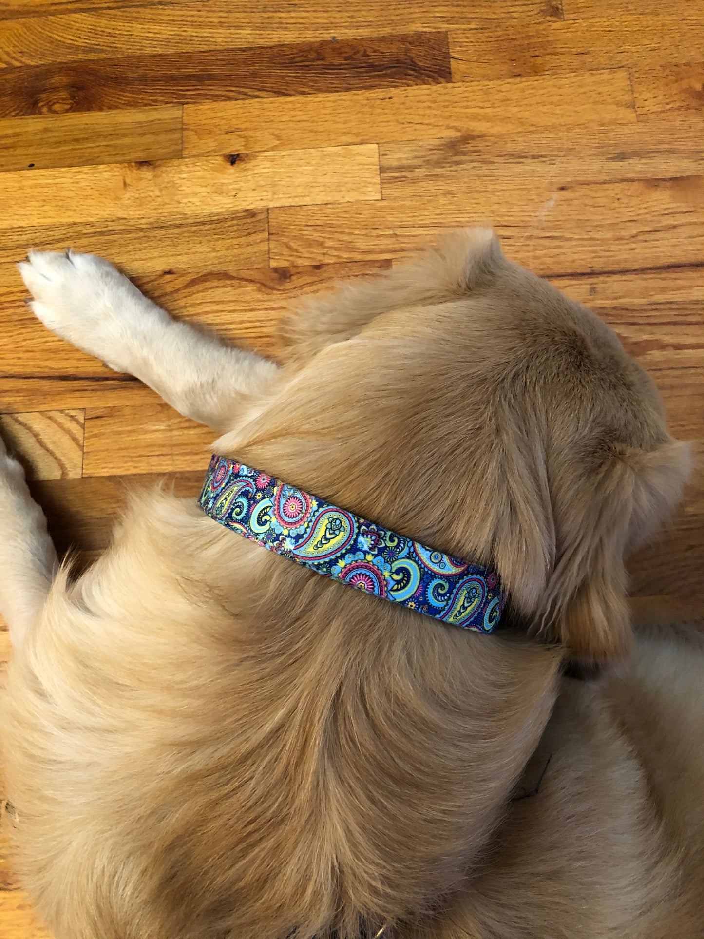 Ocean Paisley 1 inch Collar