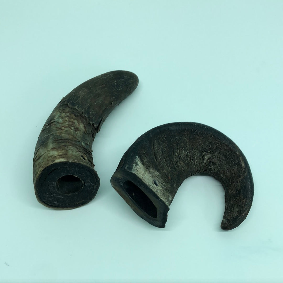 Water Buffalo Horn