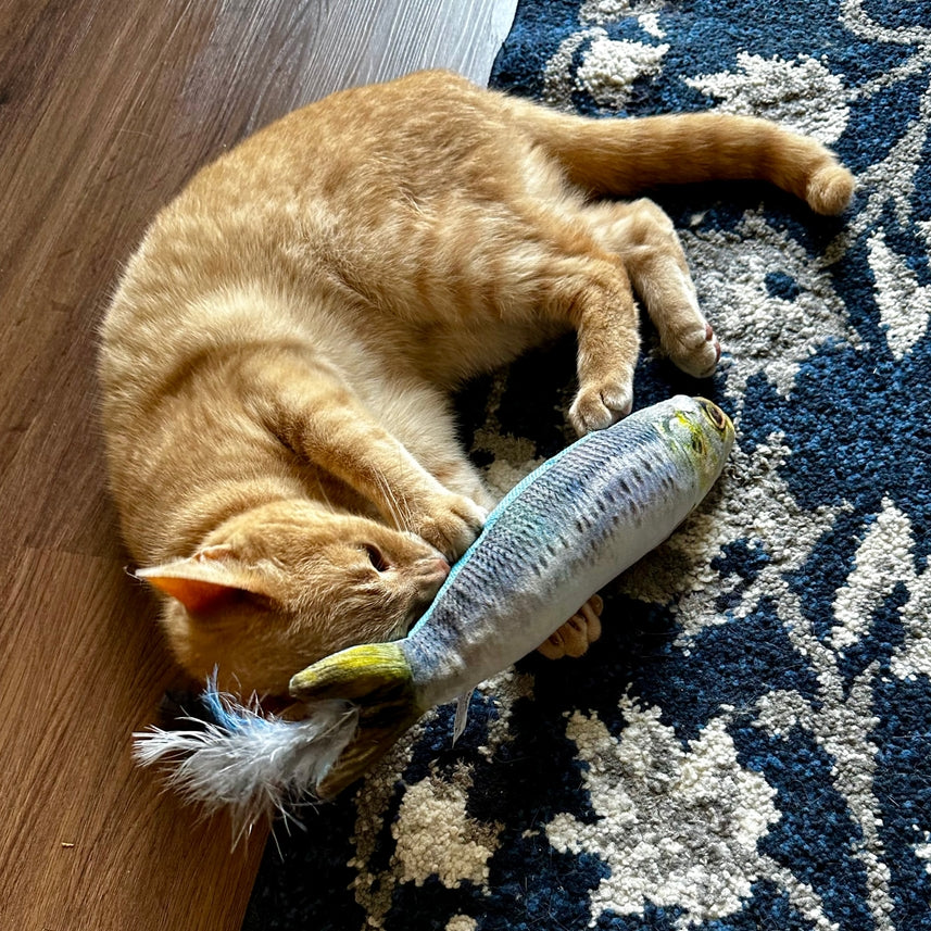 Kittybelles Sardine Kicker