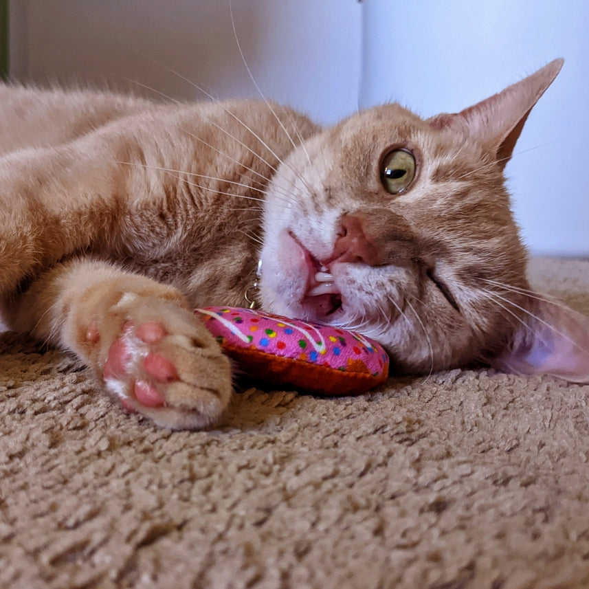 Kittybelles Strawberry Donut