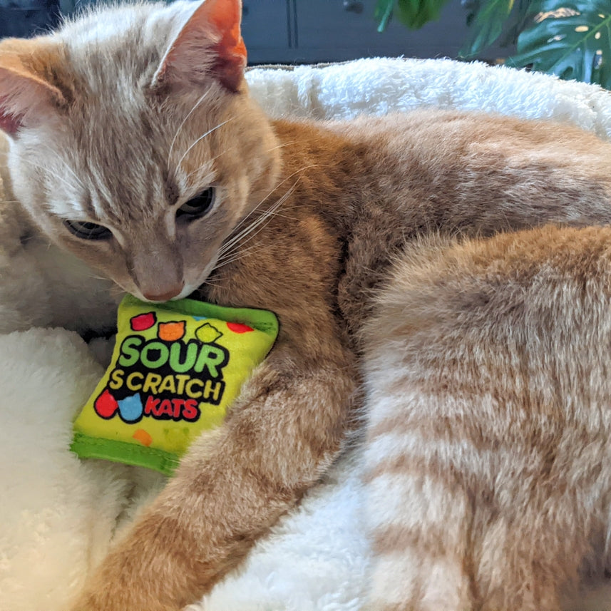 Kittybelles Sour Scratch Kats
