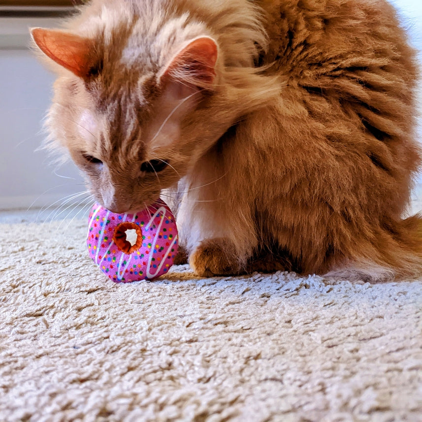 Kittybelles Strawberry Donut