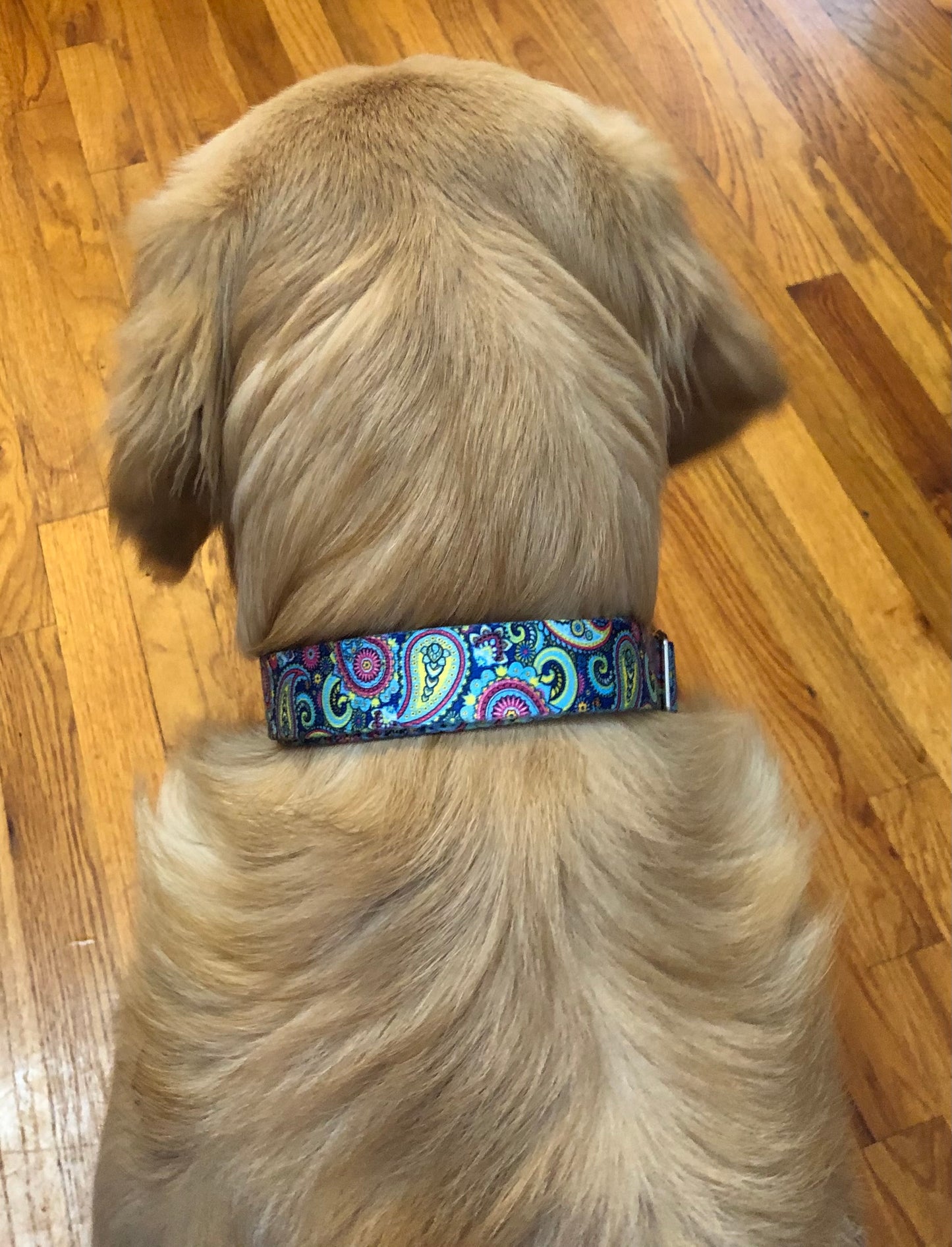 Ocean Paisley 1 inch Collar