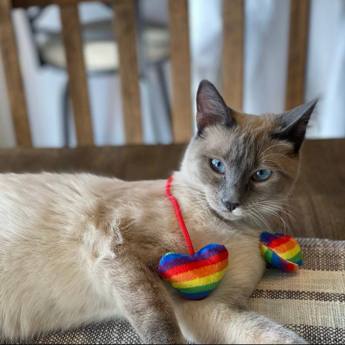 Kittybelles Rainbow Hearts