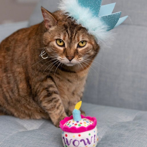 Kittybelles Me-WOW Cake toy