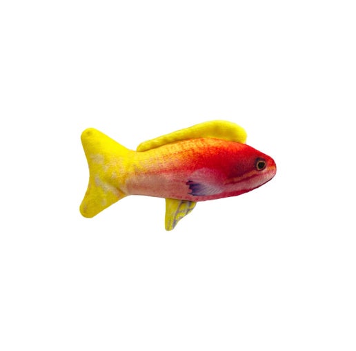 Kittybelles Rainbow Guppy