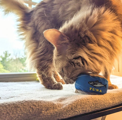 Kittybelles Can O Tuna