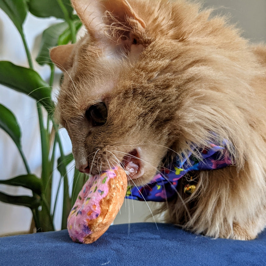 Kittybelles Strawberry Donut