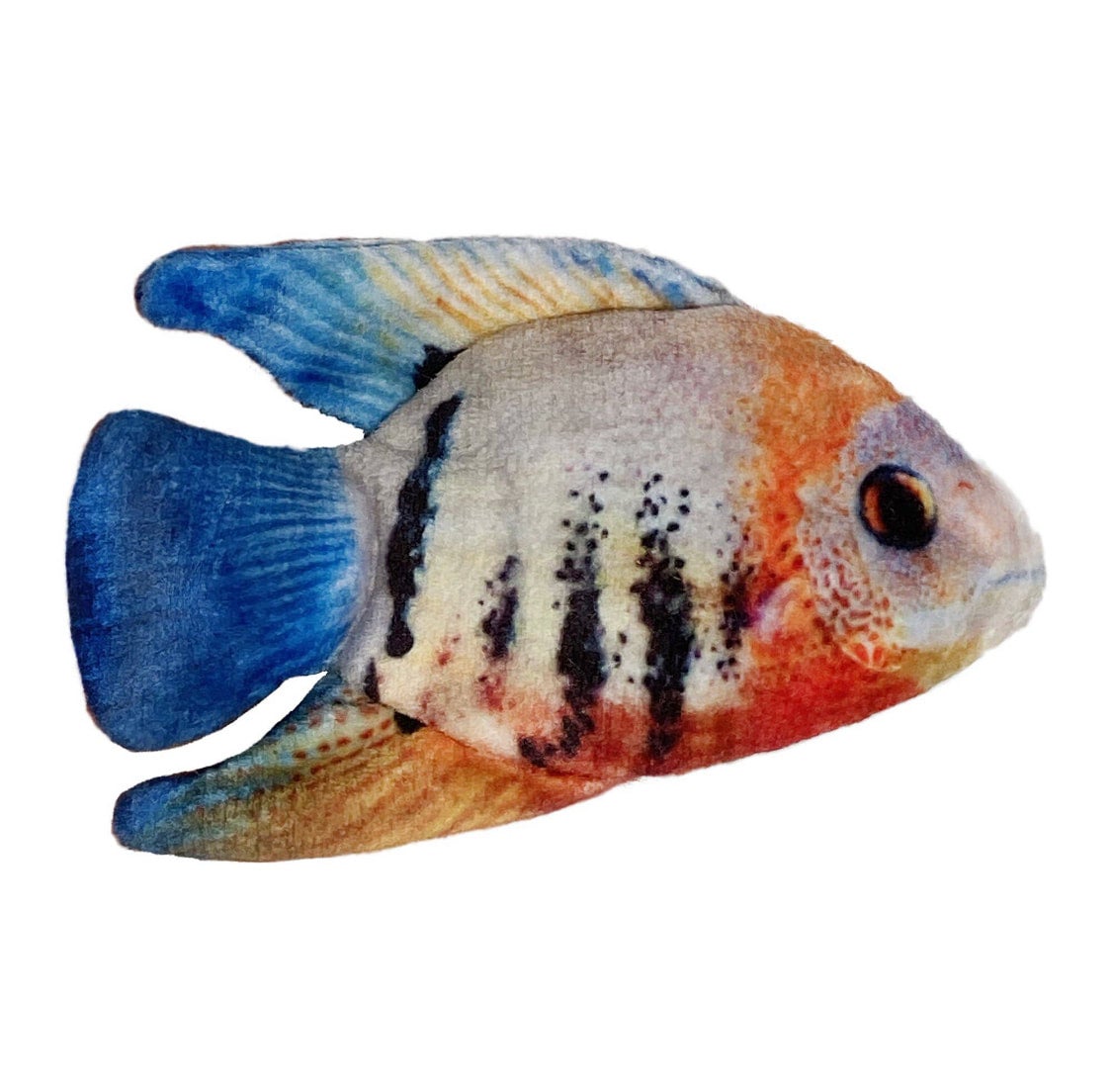 Kittybelles Angelfish