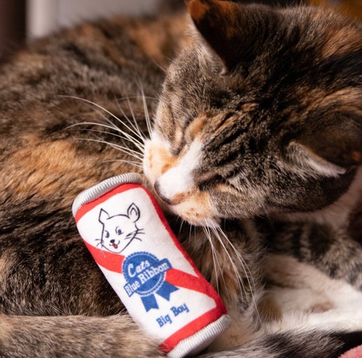 Kittybelles Blue Ribbon Toy