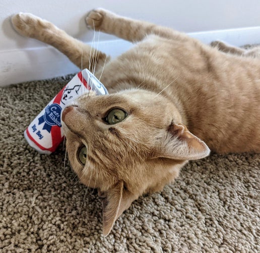 Kittybelles Blue Ribbon Toy
