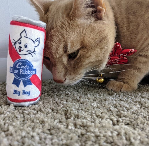 Kittybelles Blue Ribbon Toy