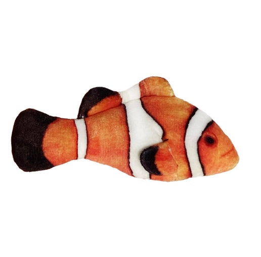 Kittybelles Clownfish