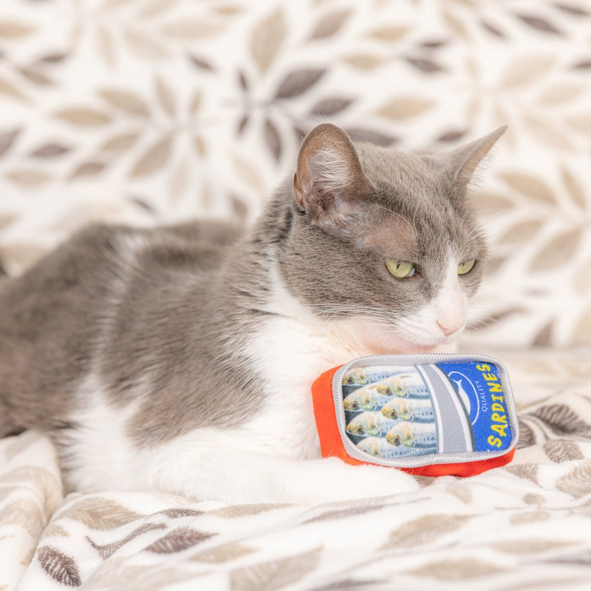 Kittybelles Sardine Tin