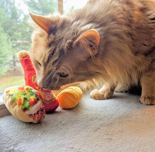 Kittybelles Fat Cat Hot Sauce Toy