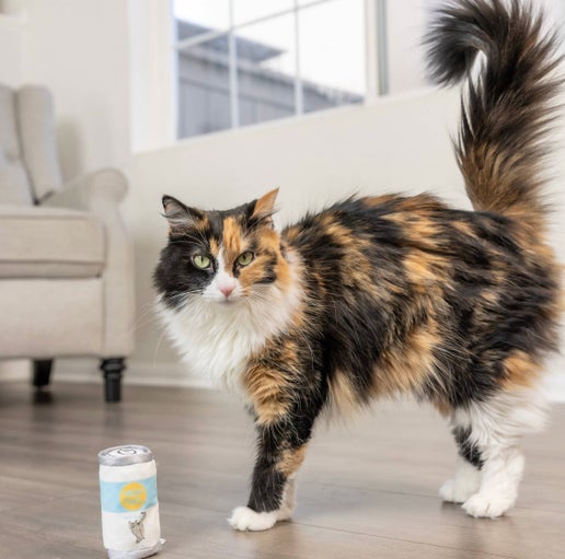 Kittybelles High Tail Toy
