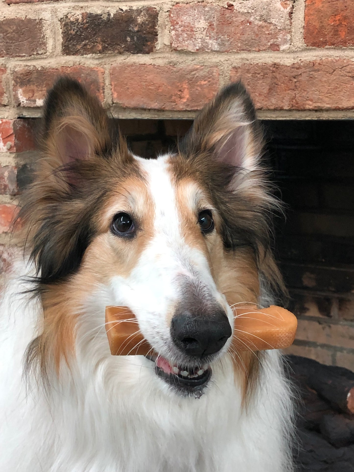 Yak Chew