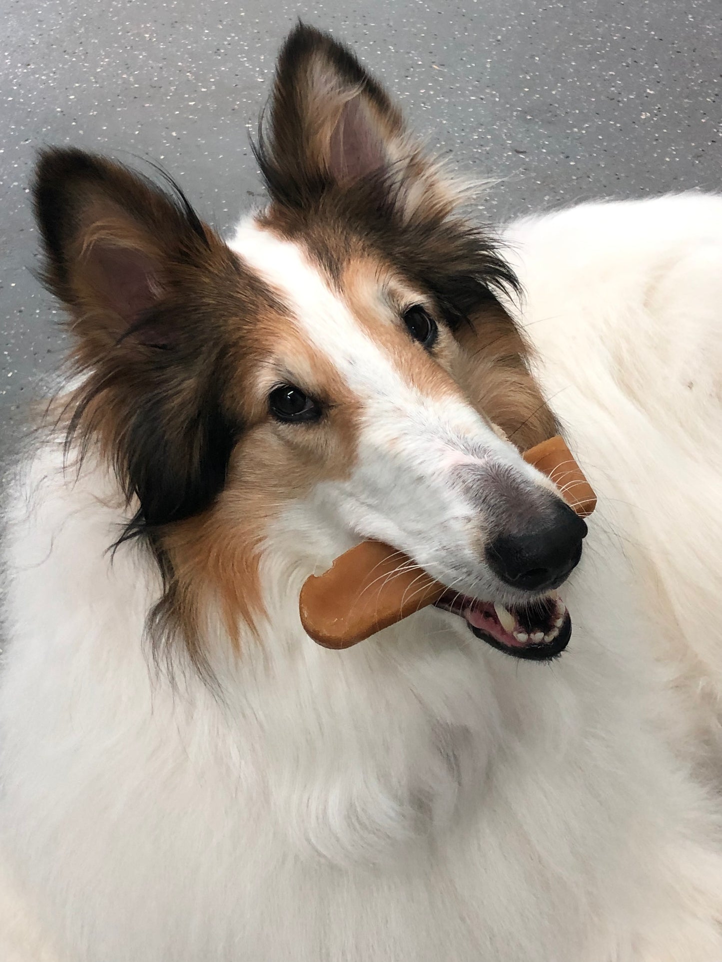 Yak Chew