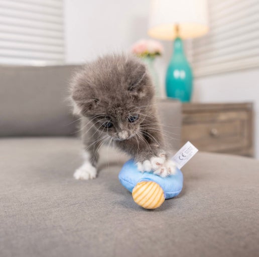 Kittybelles Kitty Loco Tequila Toy