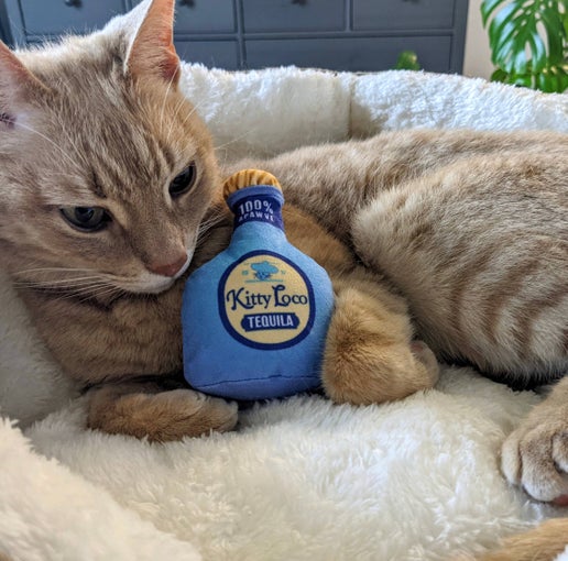 Kittybelles Kitty Loco Tequila Toy