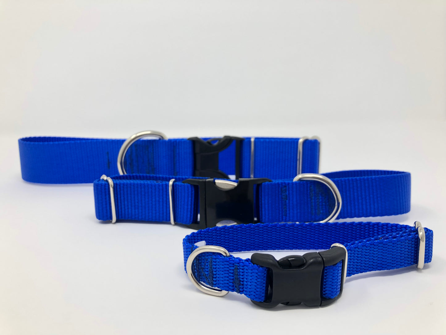 Royal Blue Nylon Dog Collar