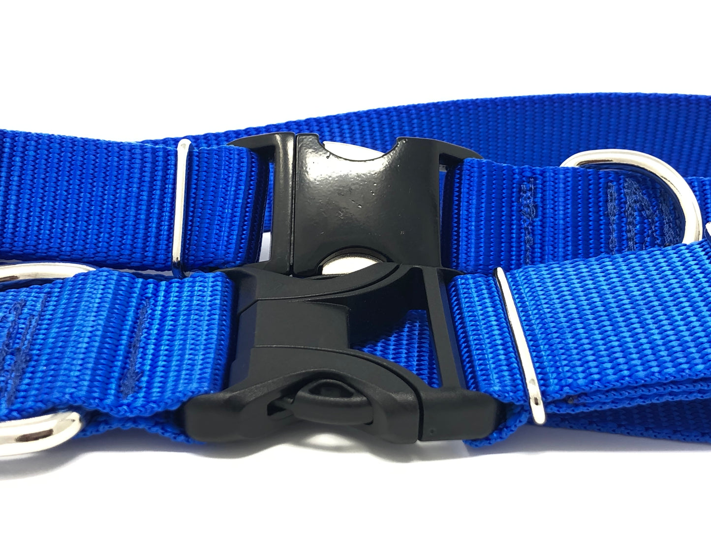 Royal Blue Nylon Dog Collar