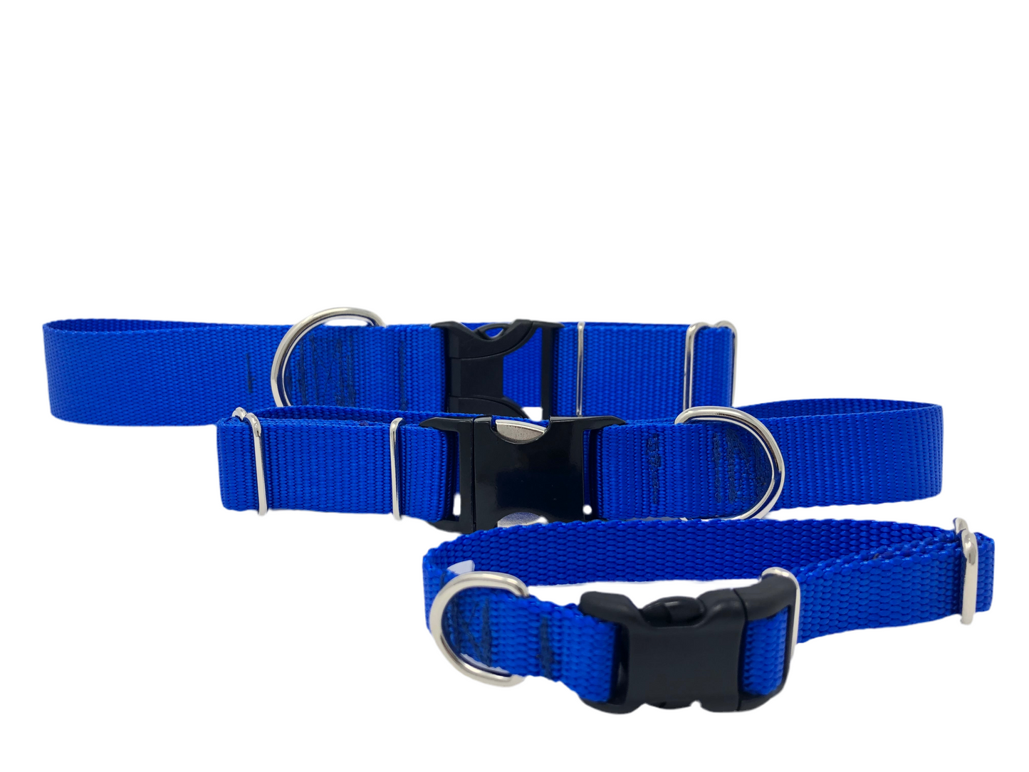 Royal Blue Nylon Dog Collar