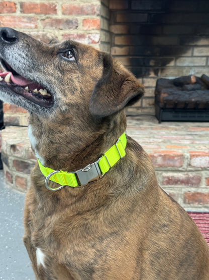 1 Inch Tennis Ball Yellow Nylon Collar