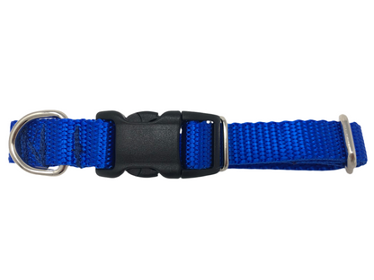 Royal Blue Nylon Dog Collar