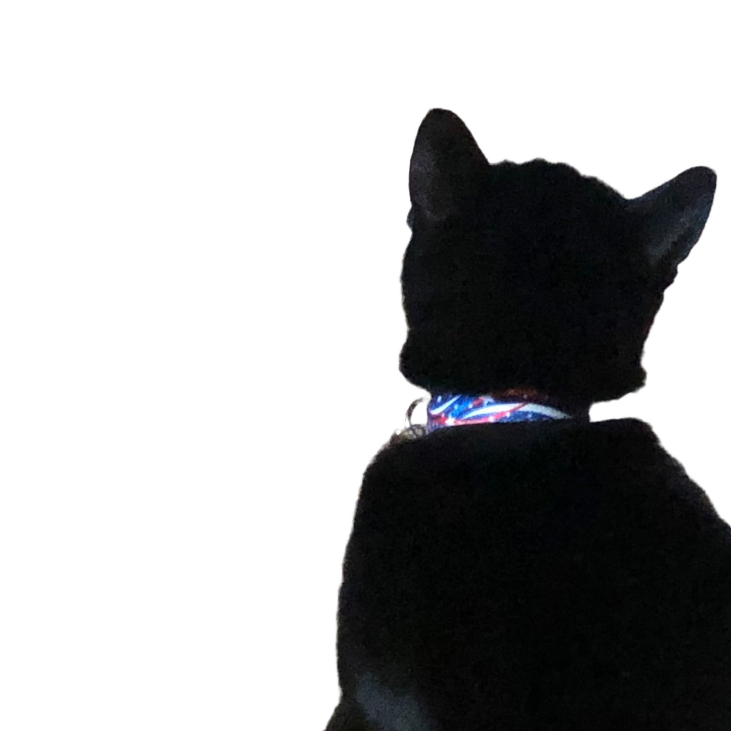 Stars and Stripes Cat Collar