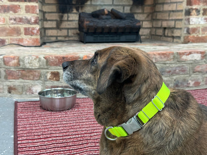 1 Inch Tennis Ball Yellow Nylon Collar